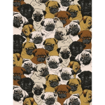 Puggo Studio
