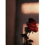 Kylovesyou