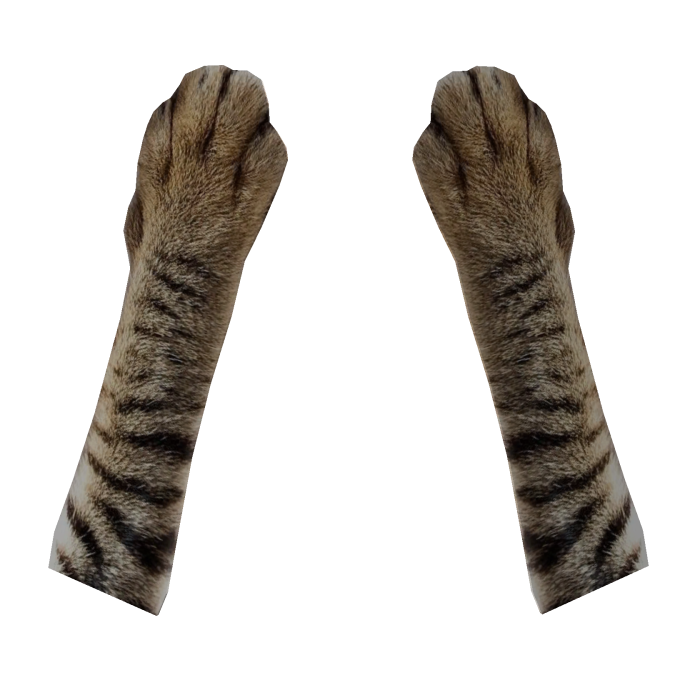 meow I can't see...