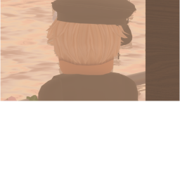 An afternoon gaze