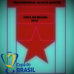 [PLS]Copa do Brasil 2019
