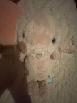 Fletcher The Bunny