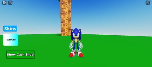 Sonic Adventure Simulator