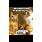 Oyen together army