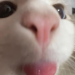 blood sh0ts