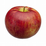 The Apples :>