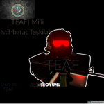 TEAF-Turkish-Armed-Forces