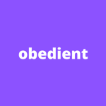 obedient clothing