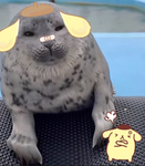Pompompurin fans group