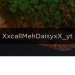 DAISY SQAUD YT!