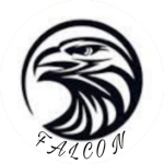 Falcon [DSBA]