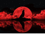 Blood Moon Wolf Studios