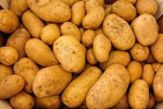 -The potato patch-