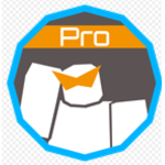 We can become pro’s