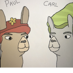 Llamas In Hats