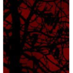 Redblood gang