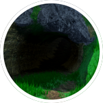 Drive through the tunnel