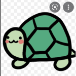 Zara the turtle
