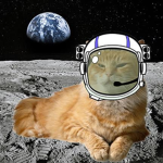 Planet cat club