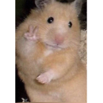 Thė Cūtīėš
