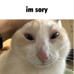 meowwwwwwwwwwwcattttttttttttt