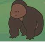 MONKE R THE BEST :0