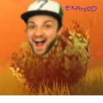 Official Haptic