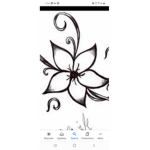 Shimmypro