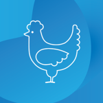 Tavuk Chicken Co
