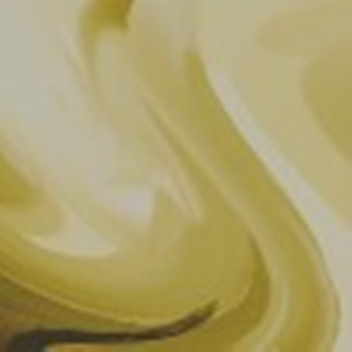Opus Seed