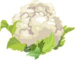 Cauliflower Studios