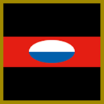 3rd Combat Signal Regiment