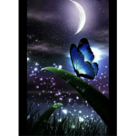 https.Butterflies