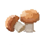 Mcshroom