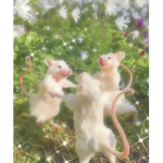 the rat gang !!