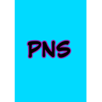 Purple Ninja Studios