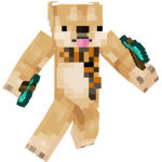 The Doge :D