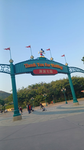 Disney_clan