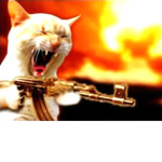 CAT ARMY X_X