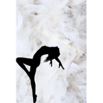 ~ Feather Dance Academy ~