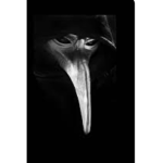 Scp 049 group