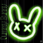 Dummy_Bunny