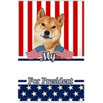 Brody042910
