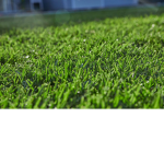 Touchgrass Studios