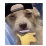 SUI SUI SAYS SUI