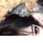 Dogs + Cats Army