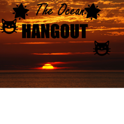 💫The Ocean Hangout!💫