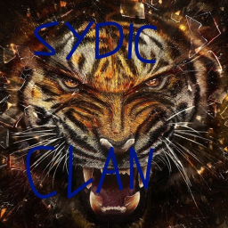 Syndic Warriors Clan Parkour Practise