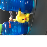 Team zygarde bananas