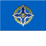 Collective Security Treaty Organization